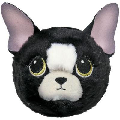 DOODLE CHIHUAHUA - BOUNCER