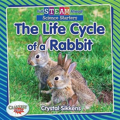The Life Cycle of a Rabbit, Gebundene Ausgabe von Crystal Sikkens, Crabtree, 978-0-7787-6200-3