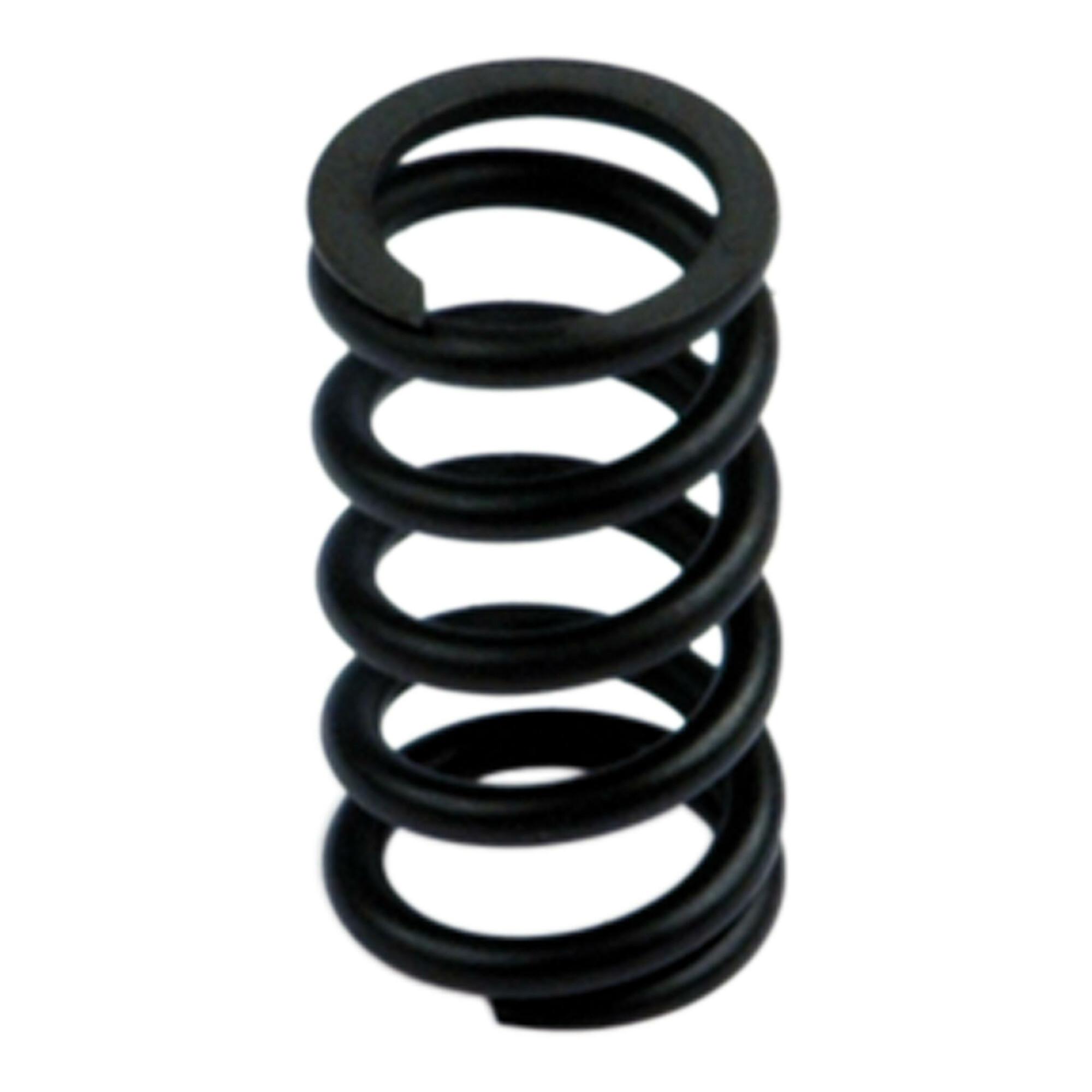 Riegler Feder »SYNTESI«, BG 2, 0 - 8 bar (9210197)