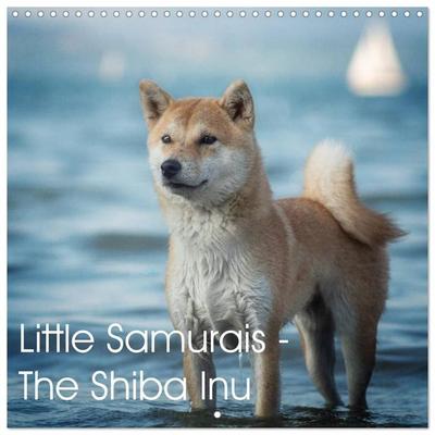 Little Samurais - The Shiba Inu (Wall Calendar 2027 12 × 12 Inch) CALVENDO 12 Month Wall Calendar