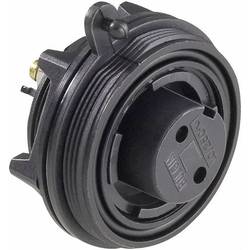 Bulgin PX0727/S Rundstecker Buchse, Einbau Gesamtpolzahl: 9 Serie (Rundsteckverbinder): PX 1 St.