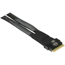 Intertech Inter-Tech Kabel SFF 8643 (75 cm), Interne Kabel (PC)