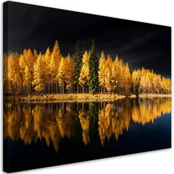 WANDBILD landschaft wald natur golden
