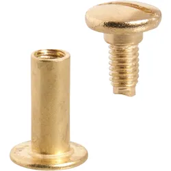 100 Buchschrauben, Messing Hülse glatt, Schraube geschlitzt | 16 mm, Metall, gold