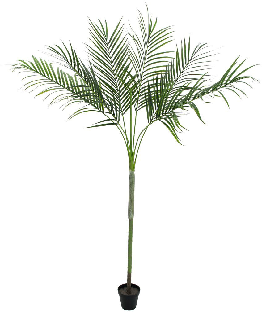 Europalms Areca Deluxe, 180cm