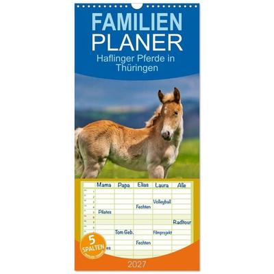 Familienplaner 2027 - Haflinger Pferde in Thüringen mit 5 Spalten (Wandkalender, 21 x 45 cm) CALVENDO