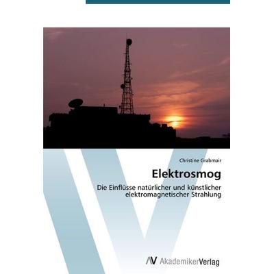 Elektrosmog, Taschenbuch von Christine Grabmair, AV Akademikerverlag, 978-3-639-39681-2