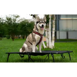 Berger SnoozeNest faltbares Hundebett klein bis 40 kg (L)