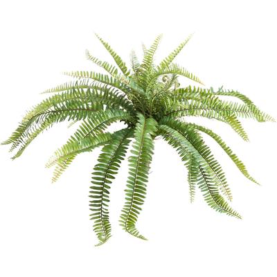 Künstliche Zimmerpflanze BOTANIC-HAUS "Farnbusch", grün, B:85cm H:38cm T:85cm Ø:85cm, Kunststoff, Kunstpflanzen, Künstliche Zimmerpflanze