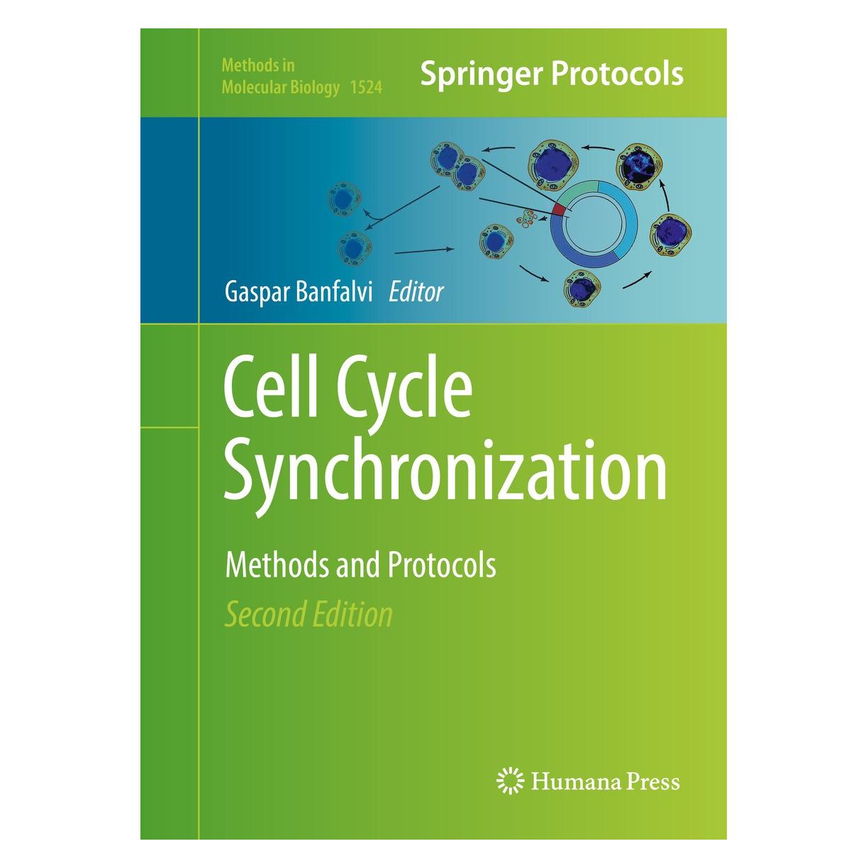 Springer Cell Cycle Synchronization (9781493966028)
