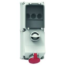 Bals Elektrotechnik 17529 17529 CEE Wandsteckdose 1 St.