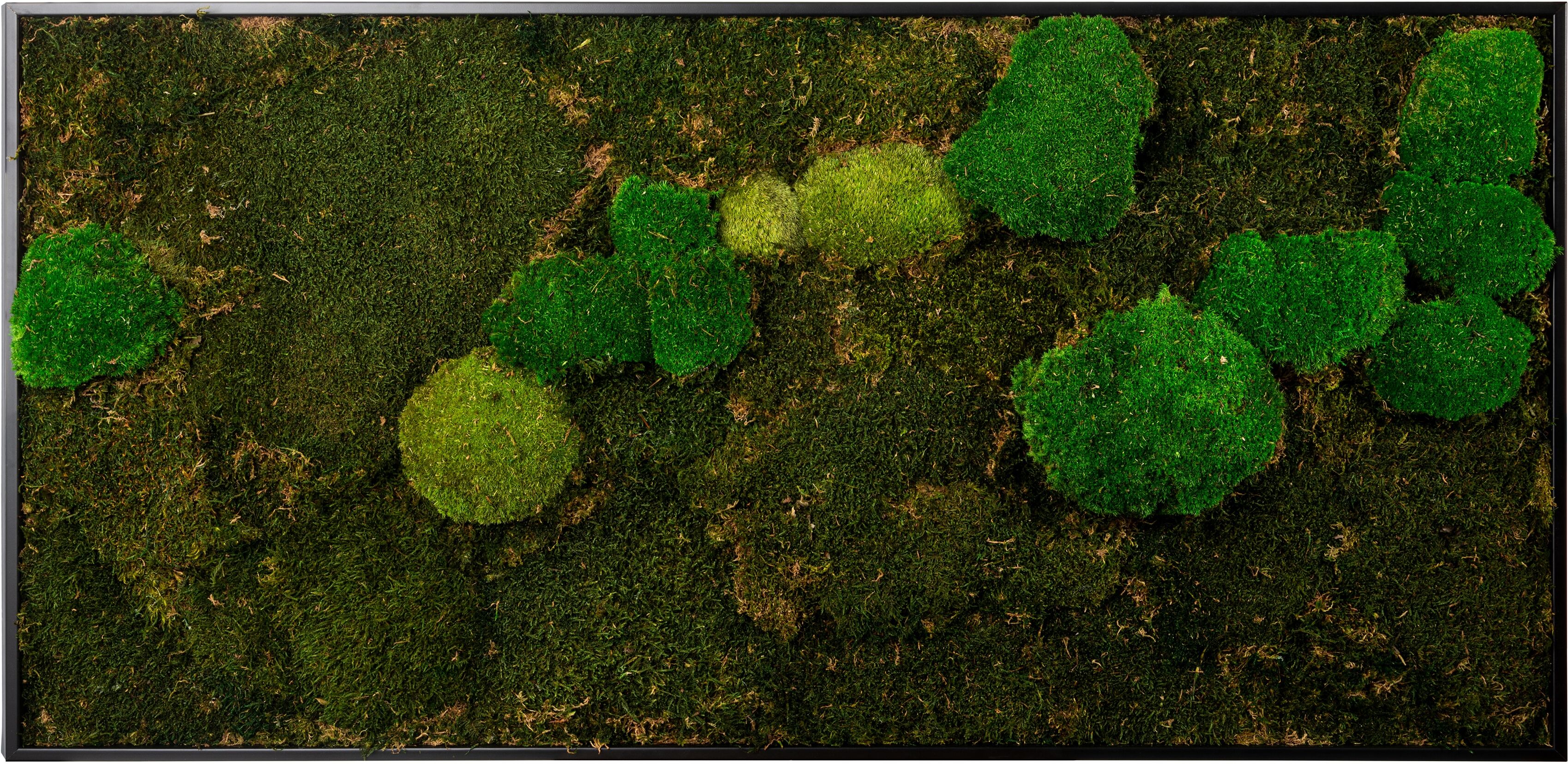 Bild mit Rahmen BÖNNINGHOFF "Moosbild "Mix Moos" 60x120 cm, schwarzer Rahmen", grün (farbe rahmen: schwarz, farbe bild(er): grün), B:120cm H:60cm T:5,5cm, Holzwerkstoff, Bilder, Bild mit Rahmen, handgefertigt, jedes Bild ein Unikat farbe rahmen: schwarz, 