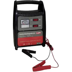 HP Autozubehör, Autobatterie Ladegerät, Kfz Ladegerät Batterie (8 A, 12V, 6V)