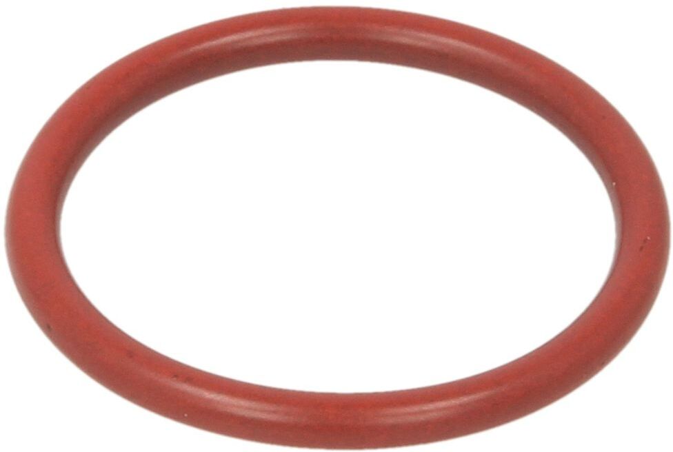 Zf O-ring in gomma 0501328488