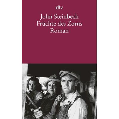 Früchte des Zorns, Taschenbuch von John Steinbeck, dtv, 978-3-423-10474-6
