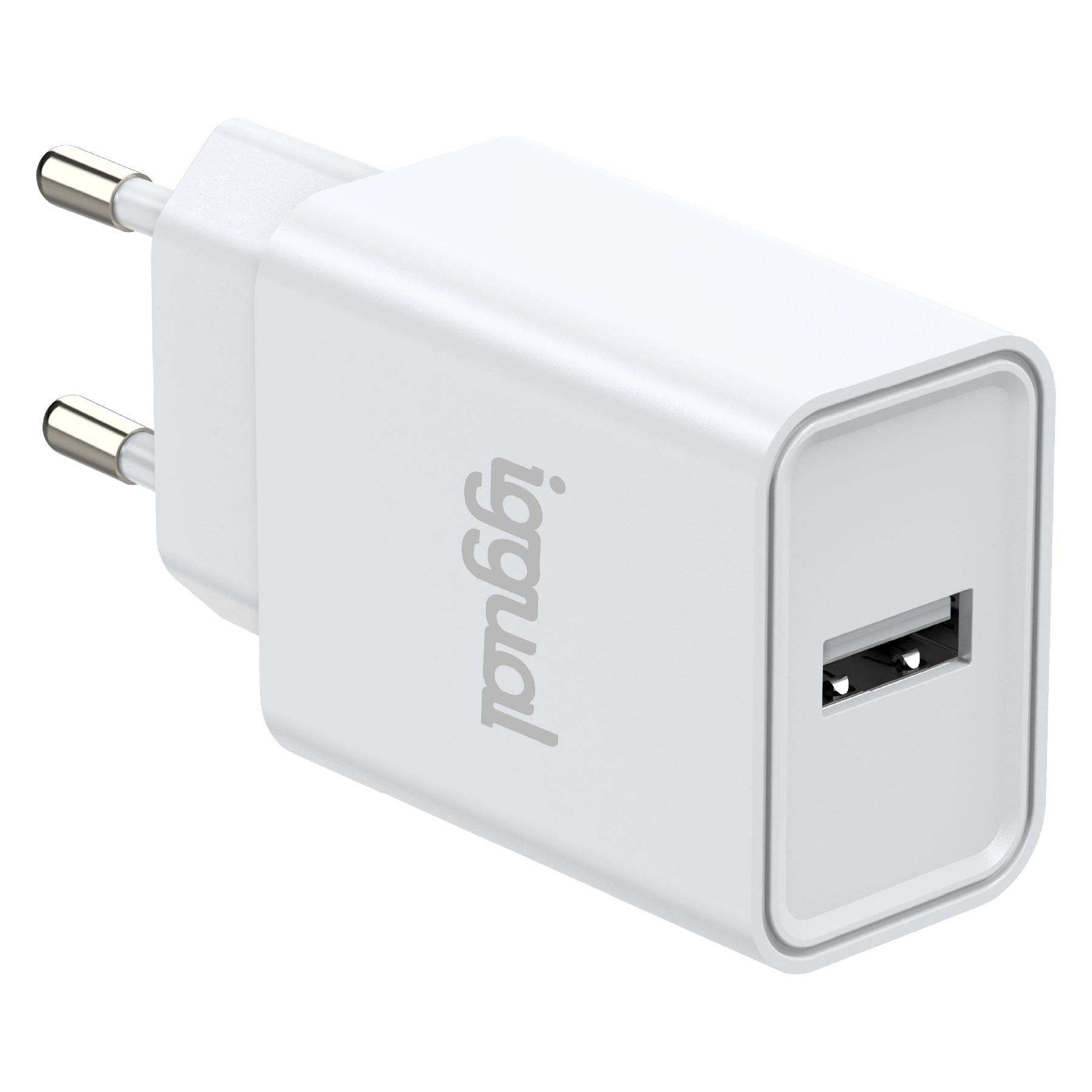 Iggual Wandladegerät IGG318188 12 W (12 W, 1 Port) (IGG318188)