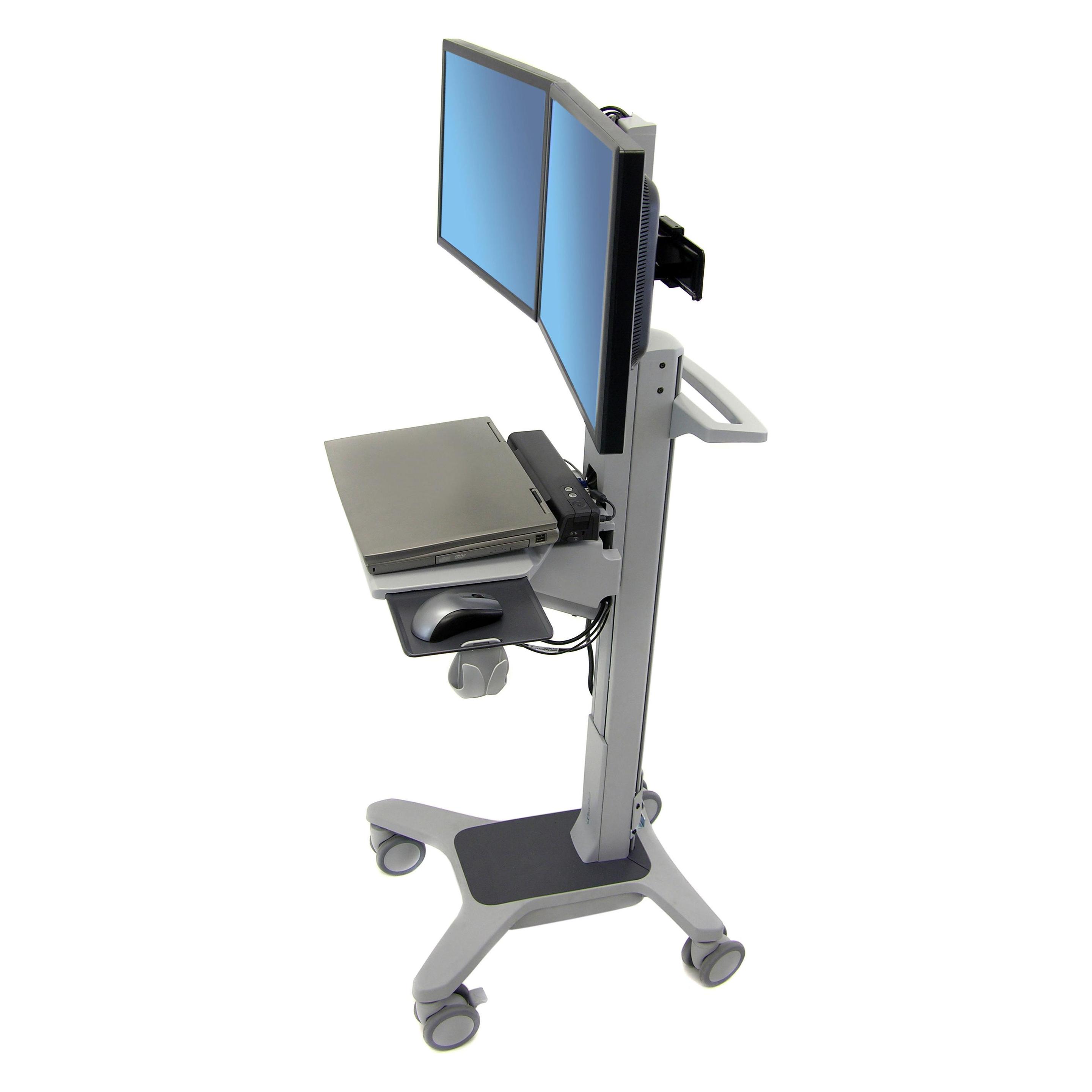 Ergotron Neo-Flex Dual Wideview (24-194-055)