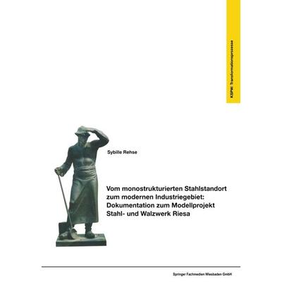 Vom monostrukturierten Stahlstandort zum modernen Industriegebiet: Dokumentation zum Modellprojekt Stahl- und Walzwerk Riesa, Taschenbuch von Sybille