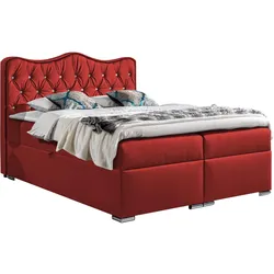 BOXBETT Sultan - H3