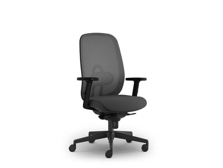 Fauteuil Ergonomique Cyprien - Avec Accoudoirs - Noir
