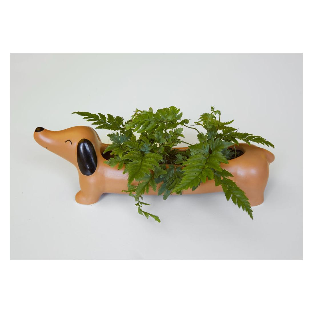 Kikkerland Daschund (22 x 6 x 6.50 cm) (PL17)