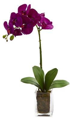 Nearly Natural "24"" Orchid Phalaenopsis Artificial Arrangement in Vase"