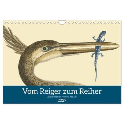 Vom Reiger zum Reiher (Wandkalender 2027 DIN A4 quer), CALVENDO Monatskalender