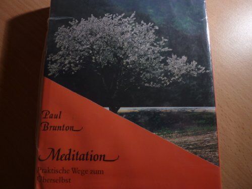 Paul Brunton - Notizbücher: Meditation. Praktische Wege zum Überselbst: BD 4 - Preis vom 09.10.2026 07:28:09 h