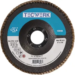 Fächerscheibe Action D.125mm K.40 kon.INOX ZK TECWERK