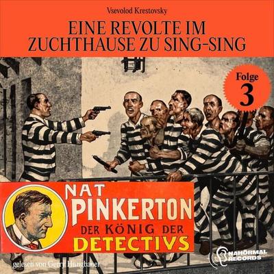 Eine Revolte im Zuchthause zu Sing-Sing (Nat Pinkerton - Der König der Detectivs, Folge 3) - Vsevolod Krestovsky, Audio, 9783711958914