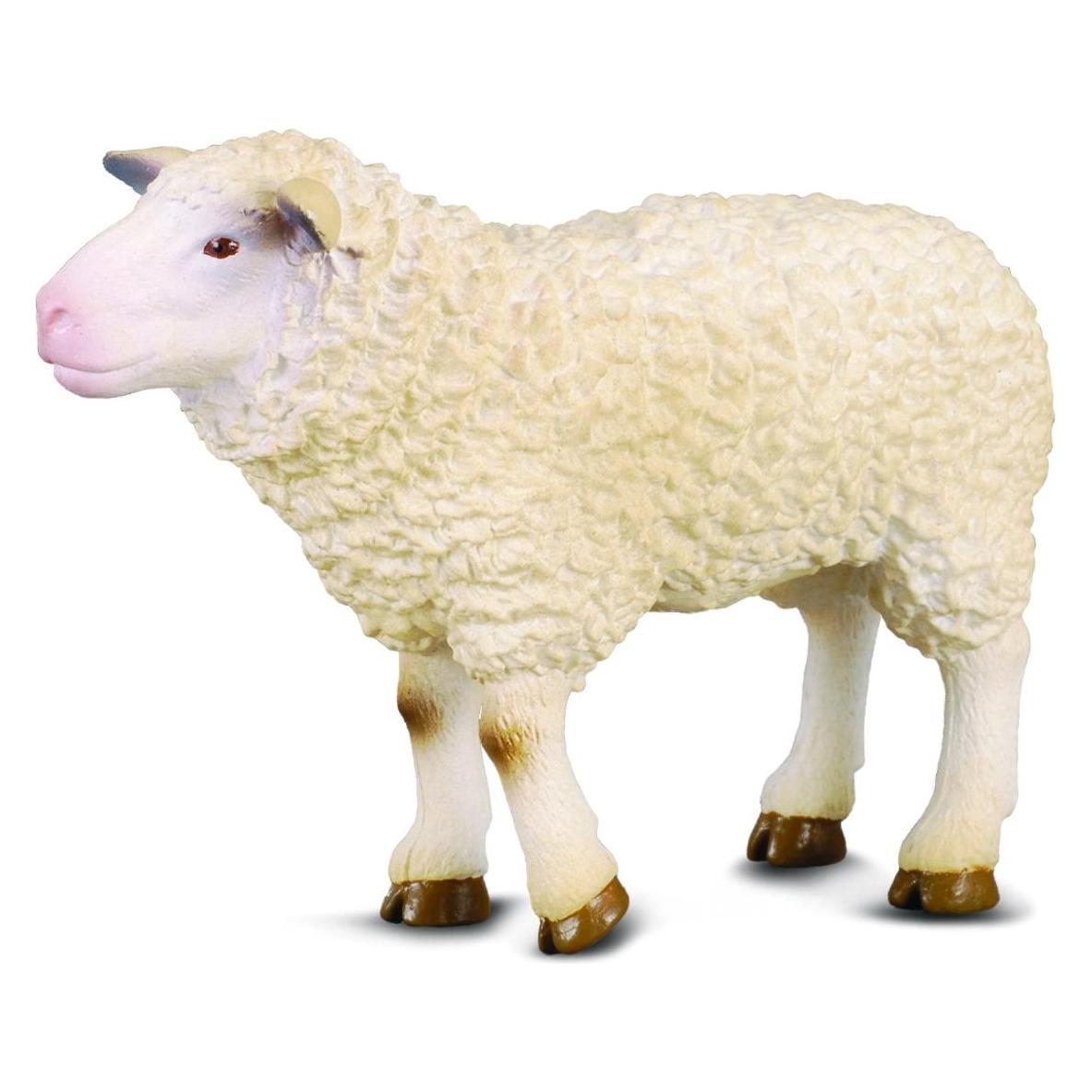 Collecta Schaf (M1188008)