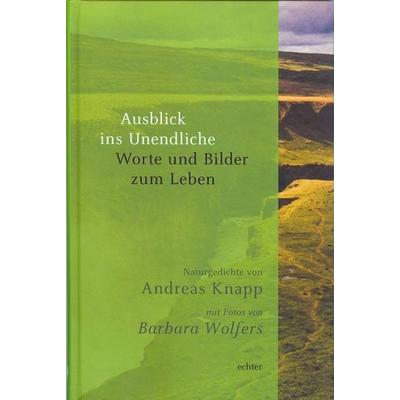 Ausblick ins Unendliche, Taschenbuch von Andreas Knapp, Echter, 978-3-429-03571-6