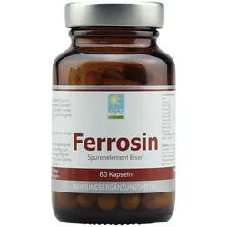 Ferrosin (Eisen) 14 mg