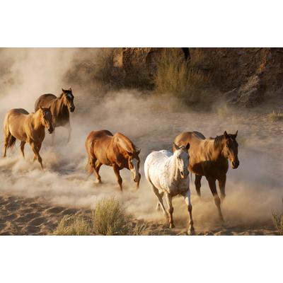 Papermoon "Wild Horses" glatt