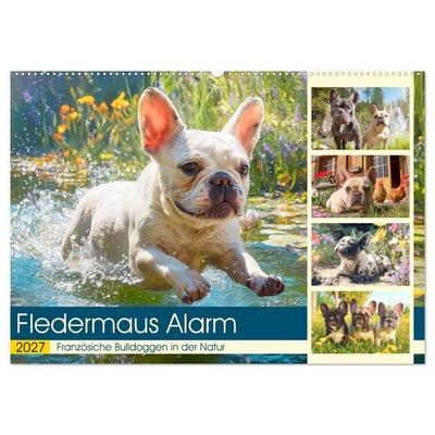 Fledermaus Alarm. Französiche Bulldoggen in der Natur (Wandkalender 2027 DIN A2 quer), CALVENDO Monatskalender