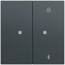 Gira Tastschalter drt 12248