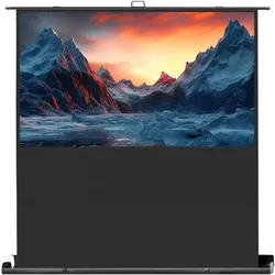Celexon Ultramobil Plus Professional (68", 16:9), Leinwand, Schwarz