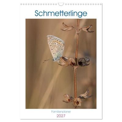 Schmetterlinge in Bayern (Wandkalender 2027 DIN A3 hoch), CALVENDO Monatskalender