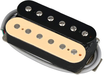 Gibson ELEV8 Rhythm Zebra Zebra