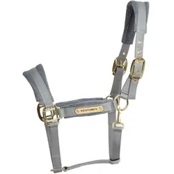 Kentucky Horsewear, Halfter