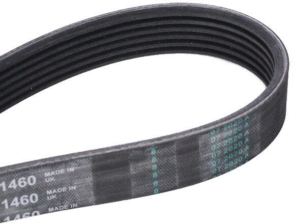 CONTITECH 6PK1460 Serpentine belt