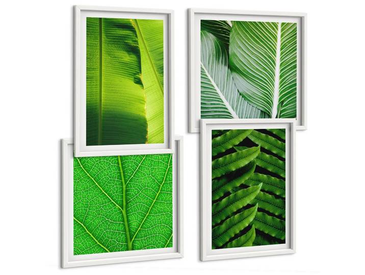 BILDER SET 4er Set - 50x50 cm & 40x60 cm Weißer Rahmen - Nahaufnahme von tropischen Blättern