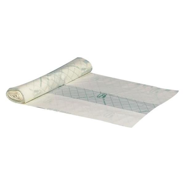 Biobag International Staples Bio bag, BioBag, transparent green, mater-bi, 82x105cm (1536)