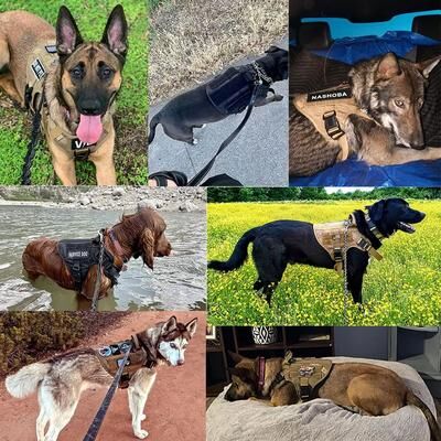 Pet Hub Pet German Shepherd Malinois Training Vest, Adjustable Dog Harness And Leash Set With Collar For Medium & Large Breed green m