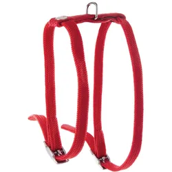 Martin Sellier Tub (50, Katze, Spazieren), Halsband + Leine