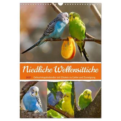 Niedliche Wellensittiche (Wandkalender 2027 DIN A3 hoch), CALVENDO Monatskalender