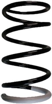 Spidan Fahrwerksfeder 85508 Hinterachse Für Toyota