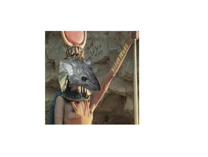 Egyptian Rats