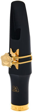 Theo Wanne Brahma Baritone 6* HR
