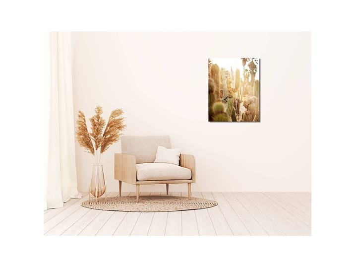 Tableau déco Various cactus in desert Alu-Dibond Multicolore 40 x 50cm